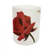11oz Sublimation Coated Crystal Frost Glass Mugs 11oz Sublimation Coated Crystal Frost Glass Mugs